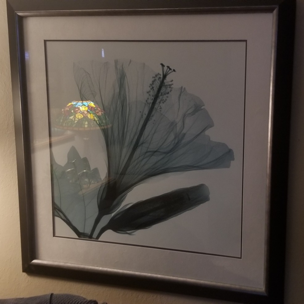 Flower picture